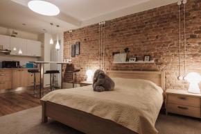 Doma laukums apartment in the heart of Riga 1